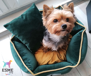 Projekt bez tytułu (1).png