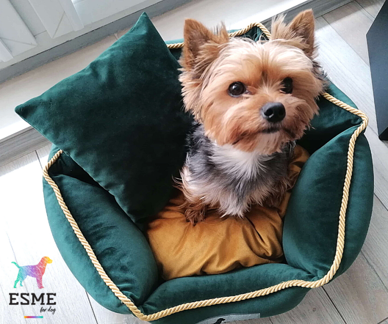 Projekt bez tytułu (1).png