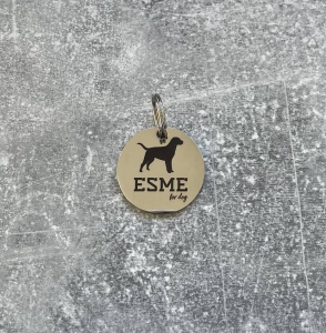 275856600_515415906769402_5706150902447153997_n (1).jpg