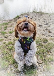 1651519195998-02 (1).jpg