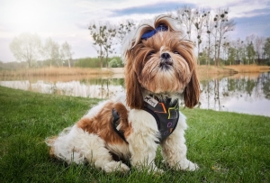 1651518135816 (2).jpg