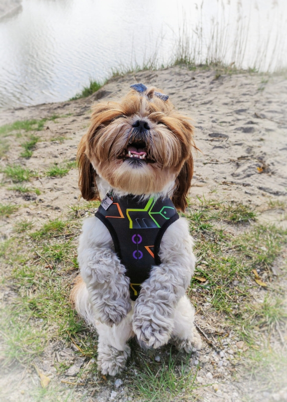 1651519195998-02 (1).jpg