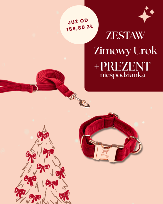 Biały i Czerwony Nowoczesny Świąteczny Sprzedaż Produktów Post na Instagram (45) (1).png
