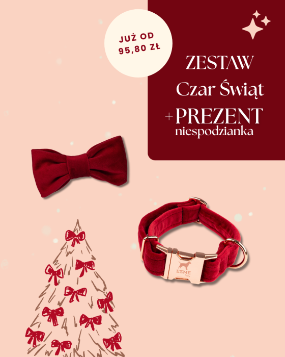 Biały i Czerwony Nowoczesny Świąteczny Sprzedaż Produktów Post na Instagram (45).png