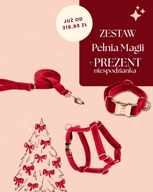 Biały i Czerwony Nowoczesny Świąteczny Sprzedaż Produktów Post na Instagram (45) (2).png
