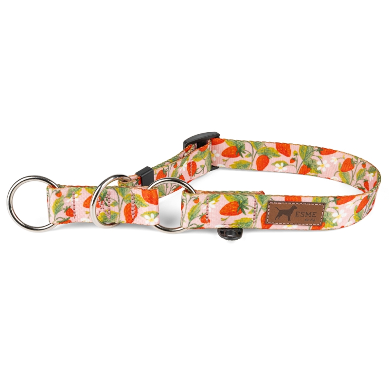 obroża półzaciskowa dla psa sweet berry .jpg