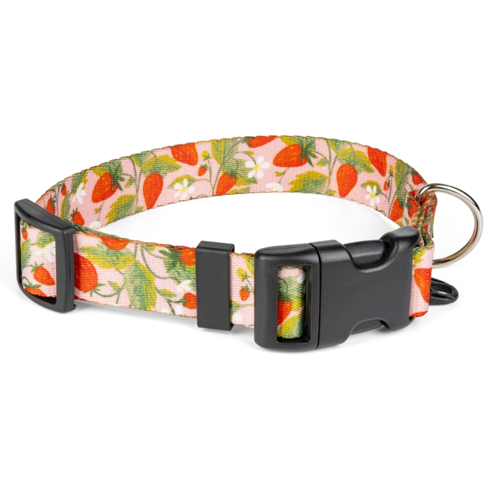 Obroża dla psa z klamrą - sweet berry