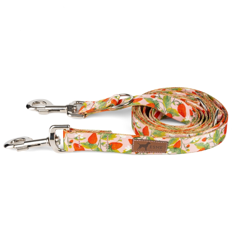 Smycz dla psa przepinana - sweet berry