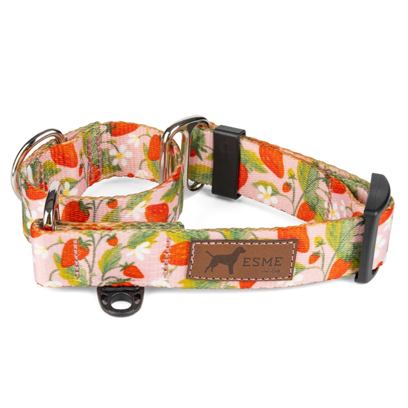 Obroża dla psa martingale - sweet berry