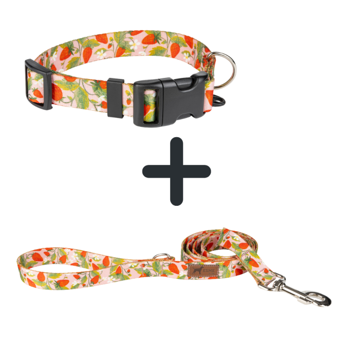 obroża dla psa ze smyczą sweet berry