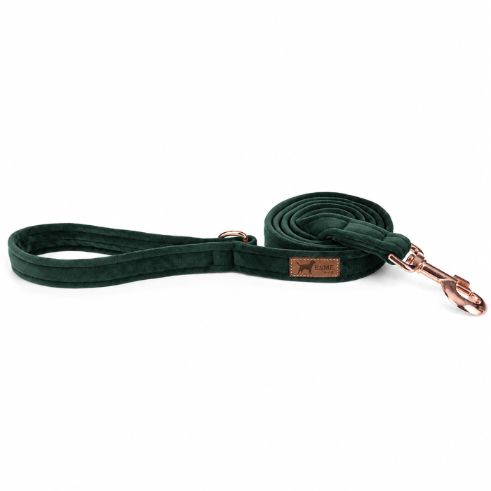 ChatGPT Image 18 cze 2026, 11_09_32.png