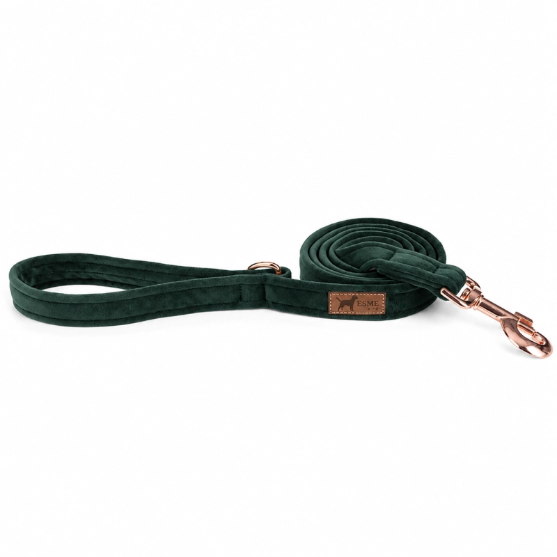 ChatGPT Image 18 cze 2026, 11_09_32.png