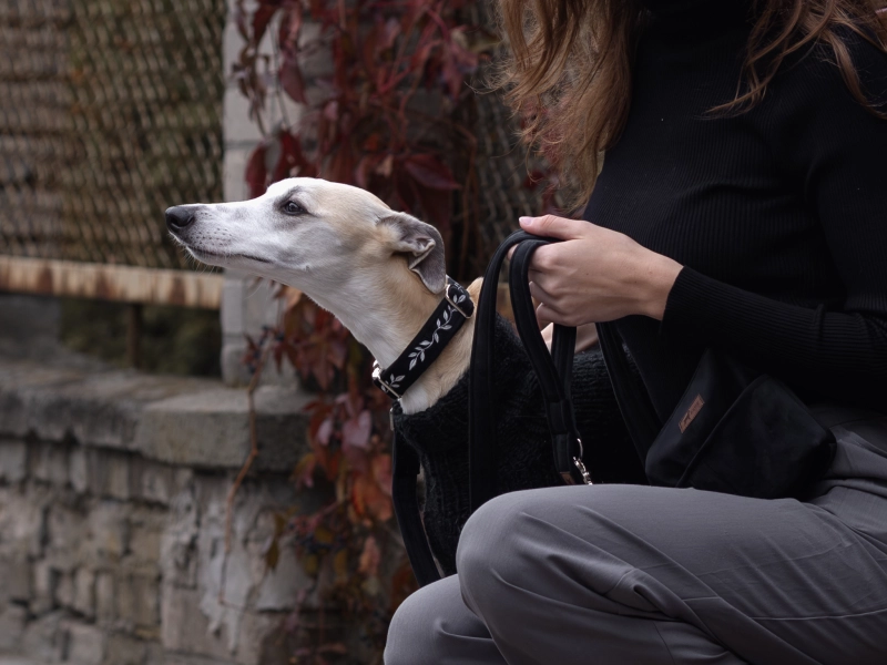 esmefordog x luffy-16.jpg