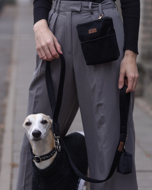 esmefordog x luffy-20.jpg