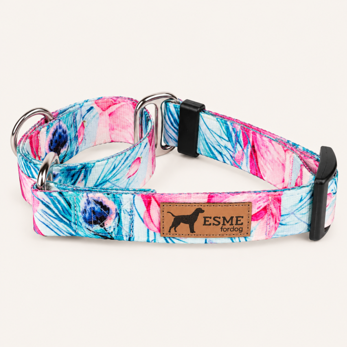 Pastelowy obroża martingale ESME fordog.png