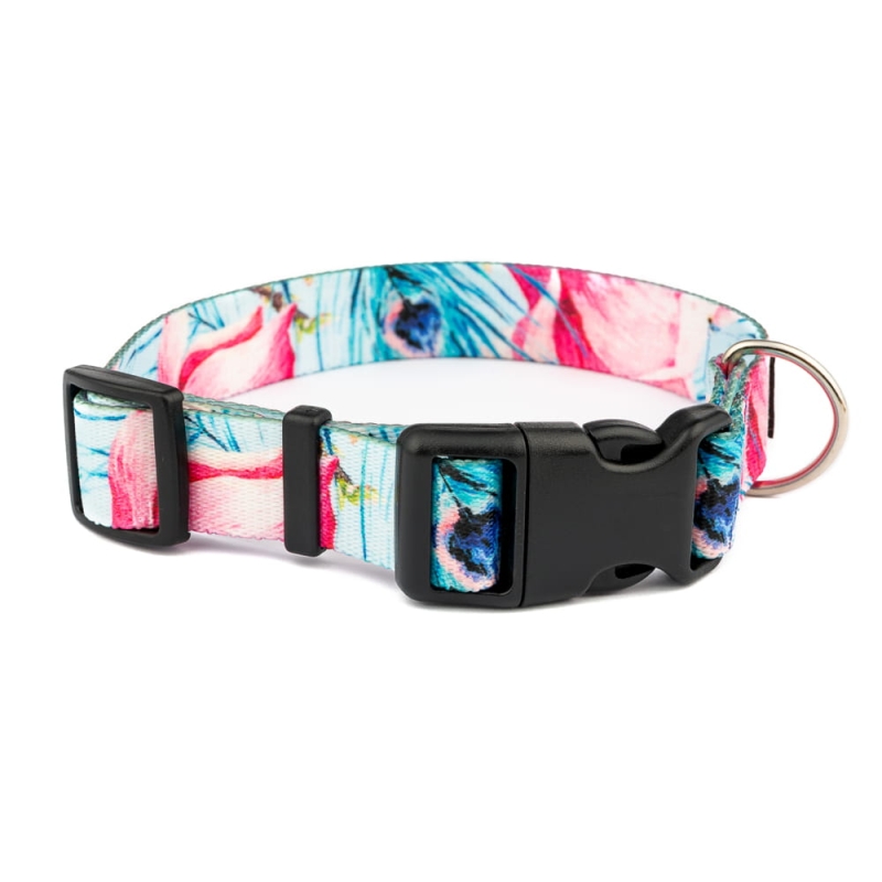 obroze (15 of 27).jpg