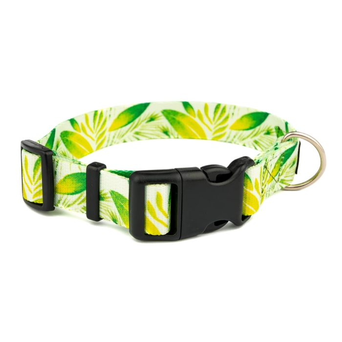 obroze (17 of 27).jpg