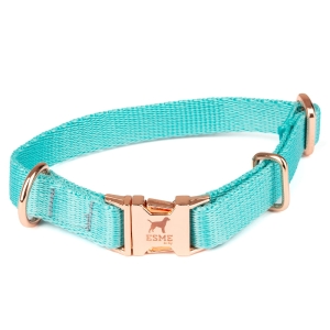 esme2 (11 of 16).jpg