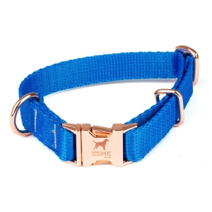 esme2 (13 of 16).jpg