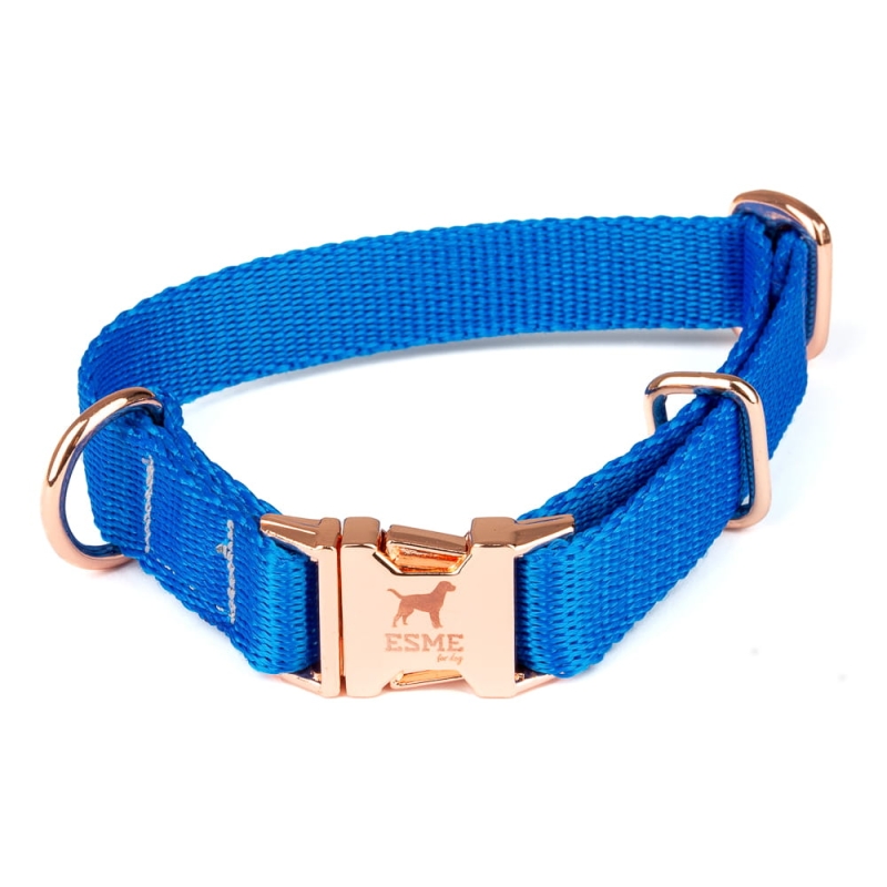 esme2 (13 of 16).jpg