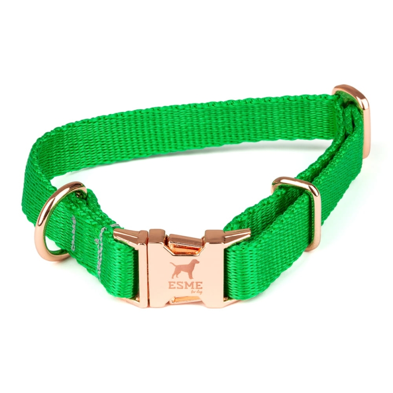 esme2 (14 of 16).jpg