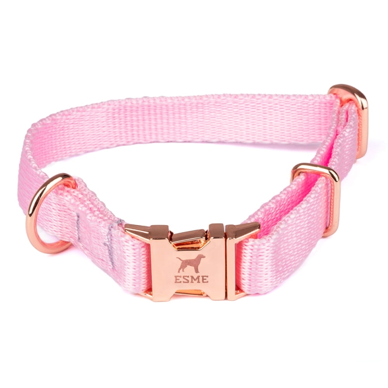 esme2 (16 of 16).jpg