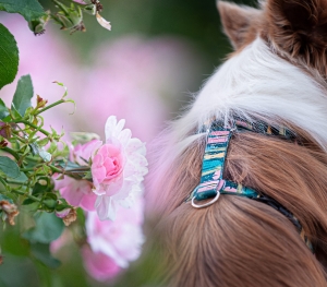 Kopia pliku Bez nazwy-2.jpg