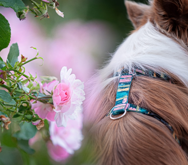 Kopia pliku Bez nazwy-2.jpg