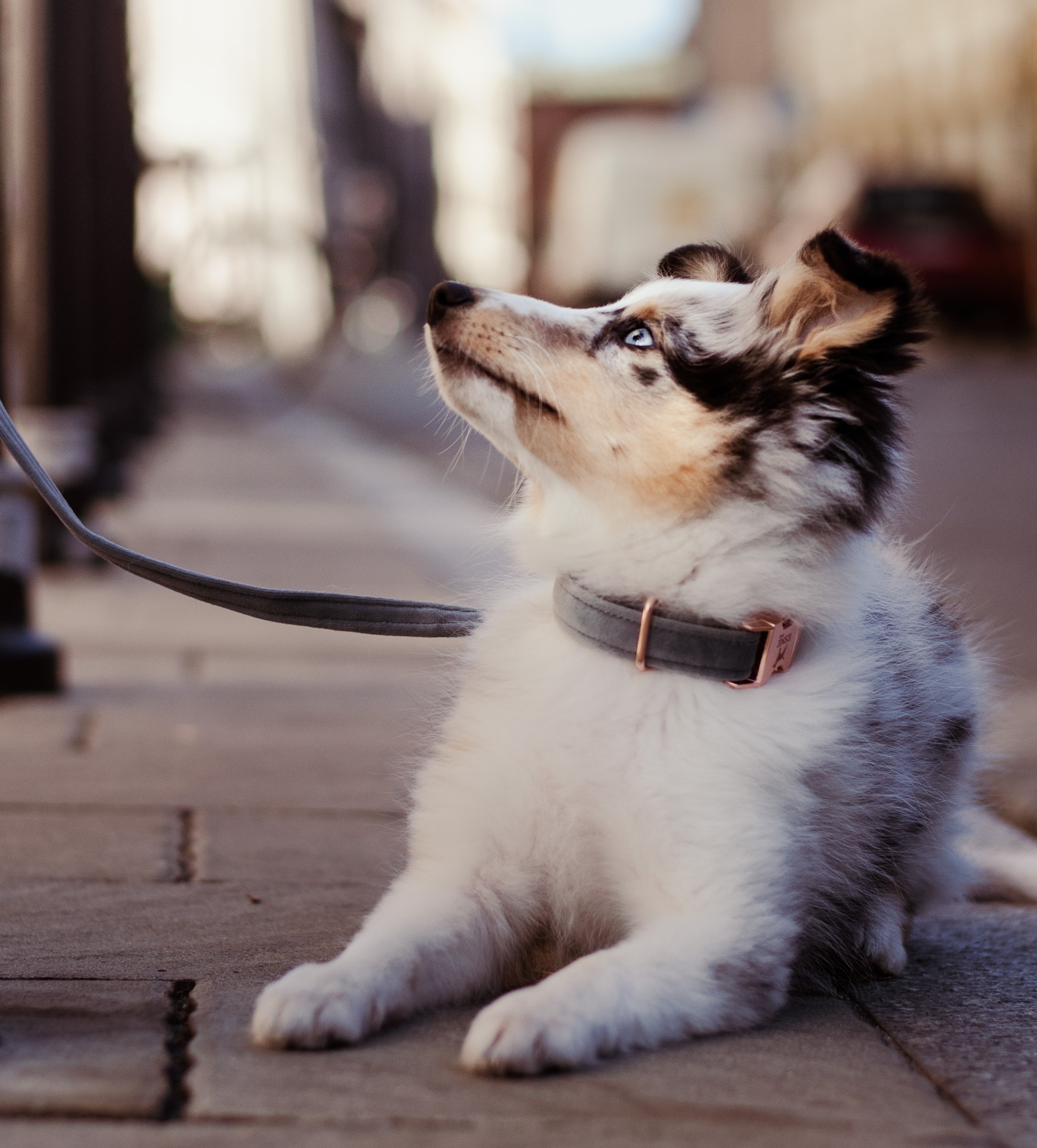 All you need to know